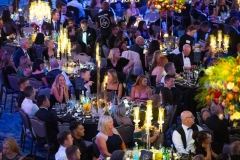 Care Sector Fundraising Ball