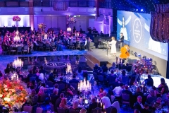 Care Sector Fundraising Ball