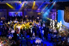 Care Sector Fundraising Ball